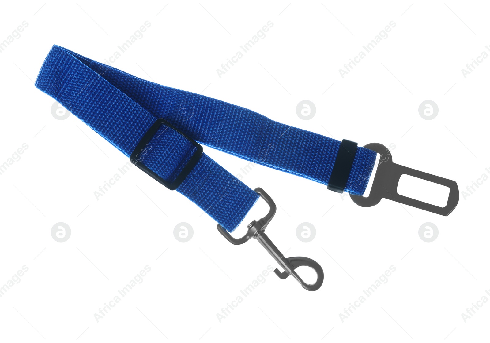 Photo of Blue dog leash isolated on white. Pet accessory