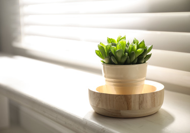 Beautiful echeveria on windowsill indoors, space for text. Succulent plant