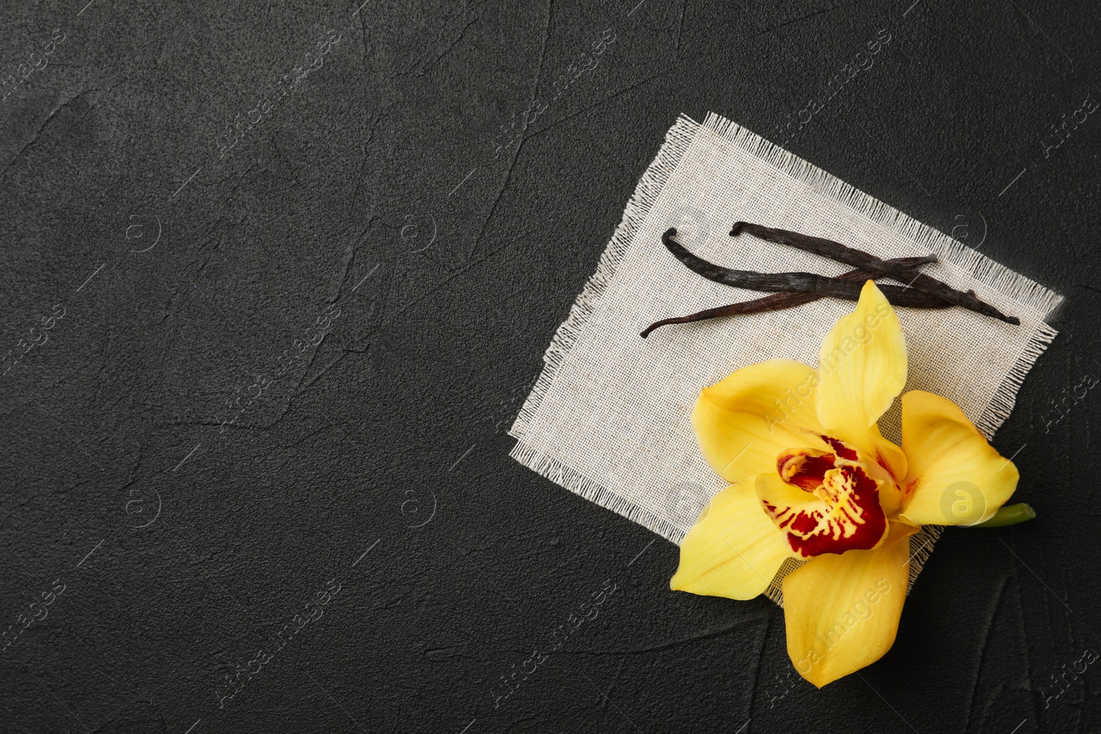 Photo of Vanilla flower and sticks on dark background