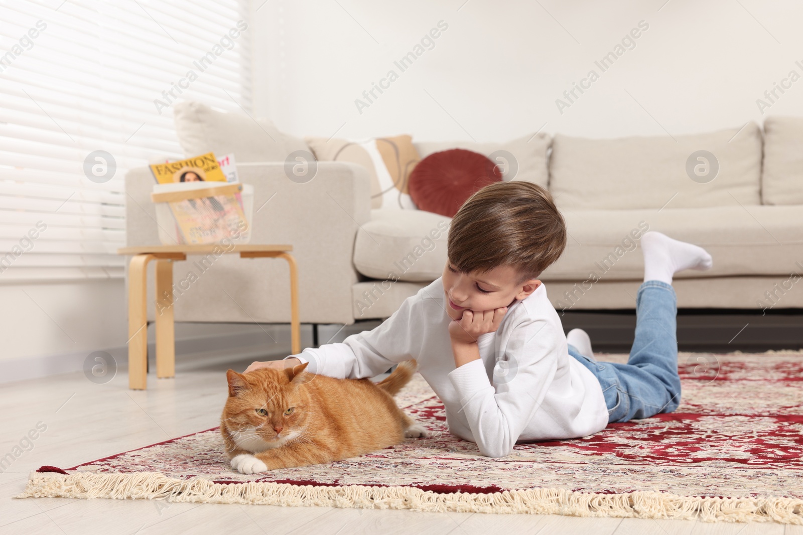 Photo of Little boy petting cute ginger cat on carpet at home