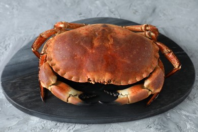 Delicious boiled crab on grey textured table, closeup