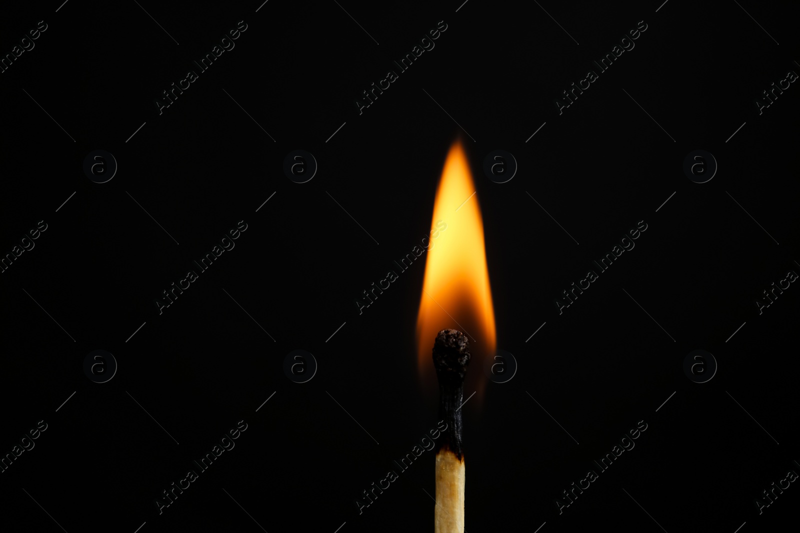 Photo of Lit match on black background, closeup. Space for text