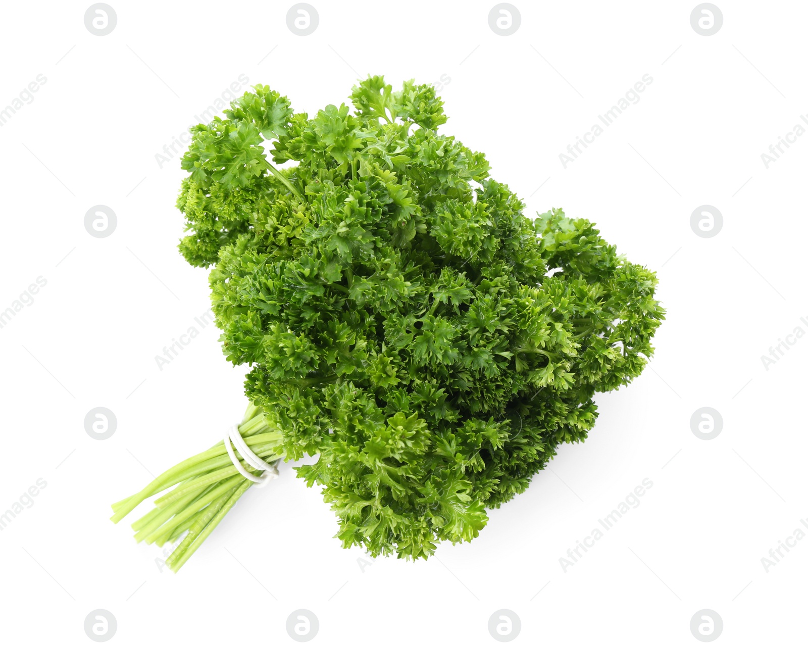 Photo of Bunch of fresh curly parsley on white background