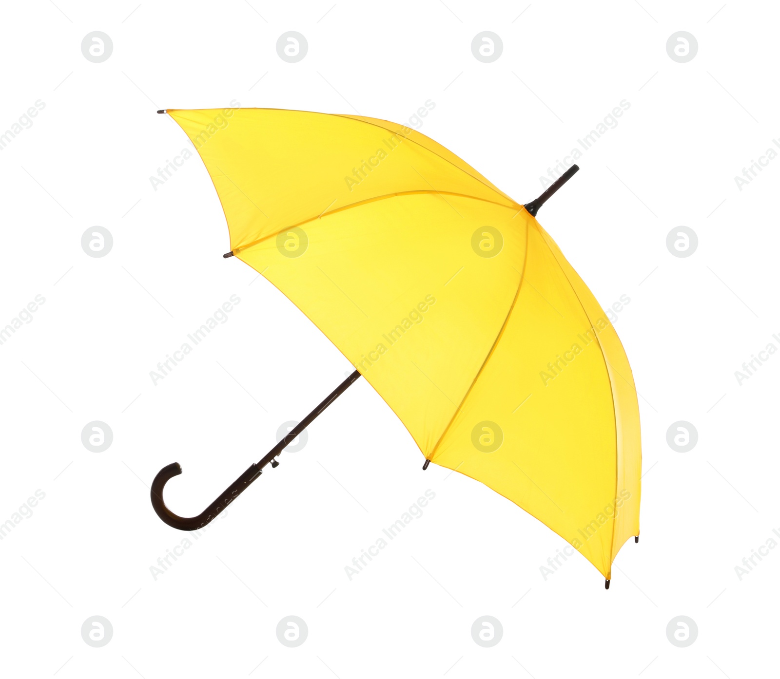 Photo of Beautiful open umbrella on white background