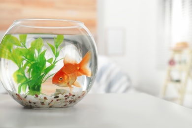Photo of Beautiful bright small goldfish in round glass aquarium on table indoors. Space for text