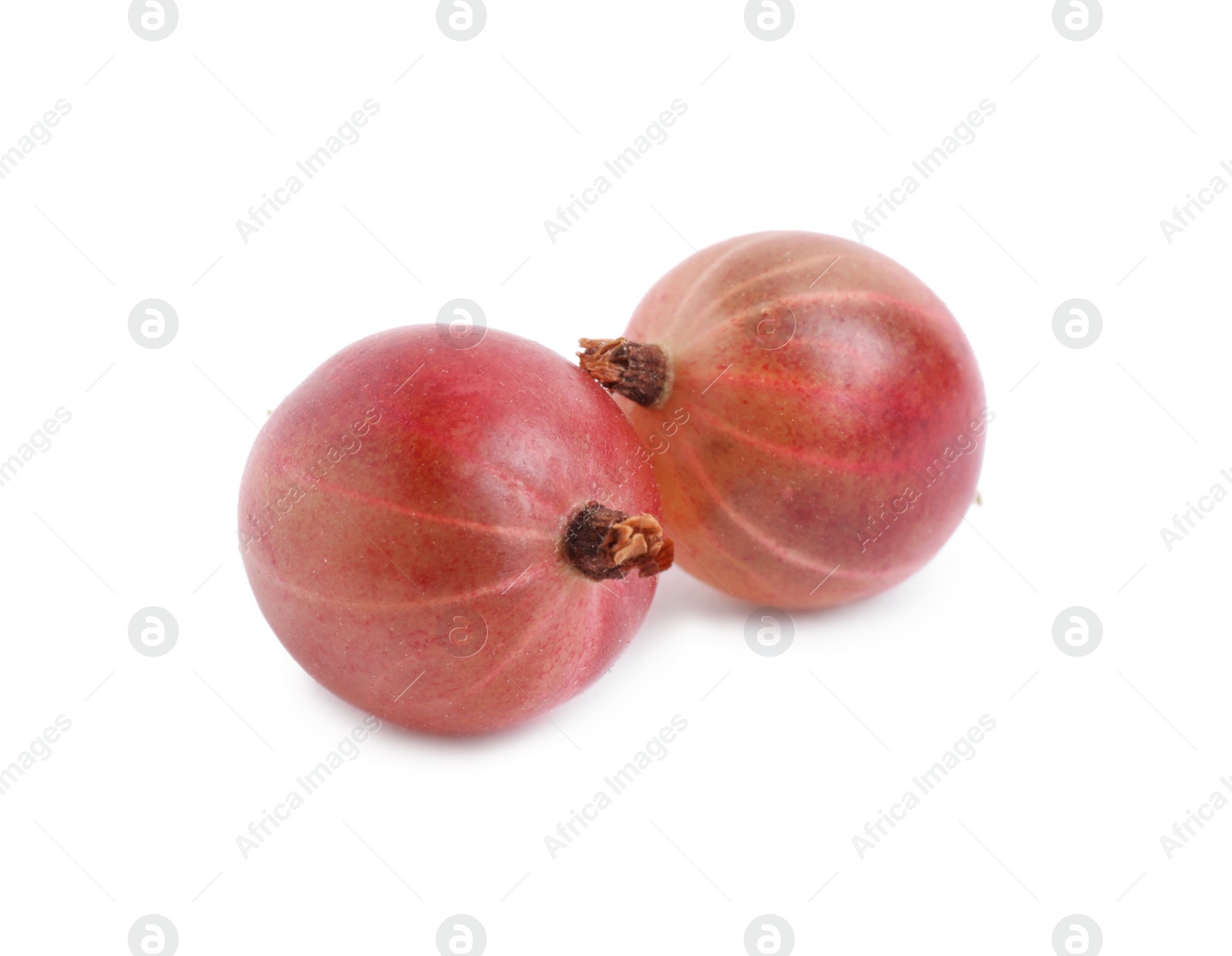 Photo of Two fresh ripe gooseberries isolated on white
