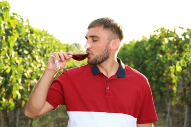 Handsome man enjoying wine at vineyard on sunny day