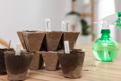 Photo of Many peat pots with cards of vegetable names on wooden table indoors. Growing seeds