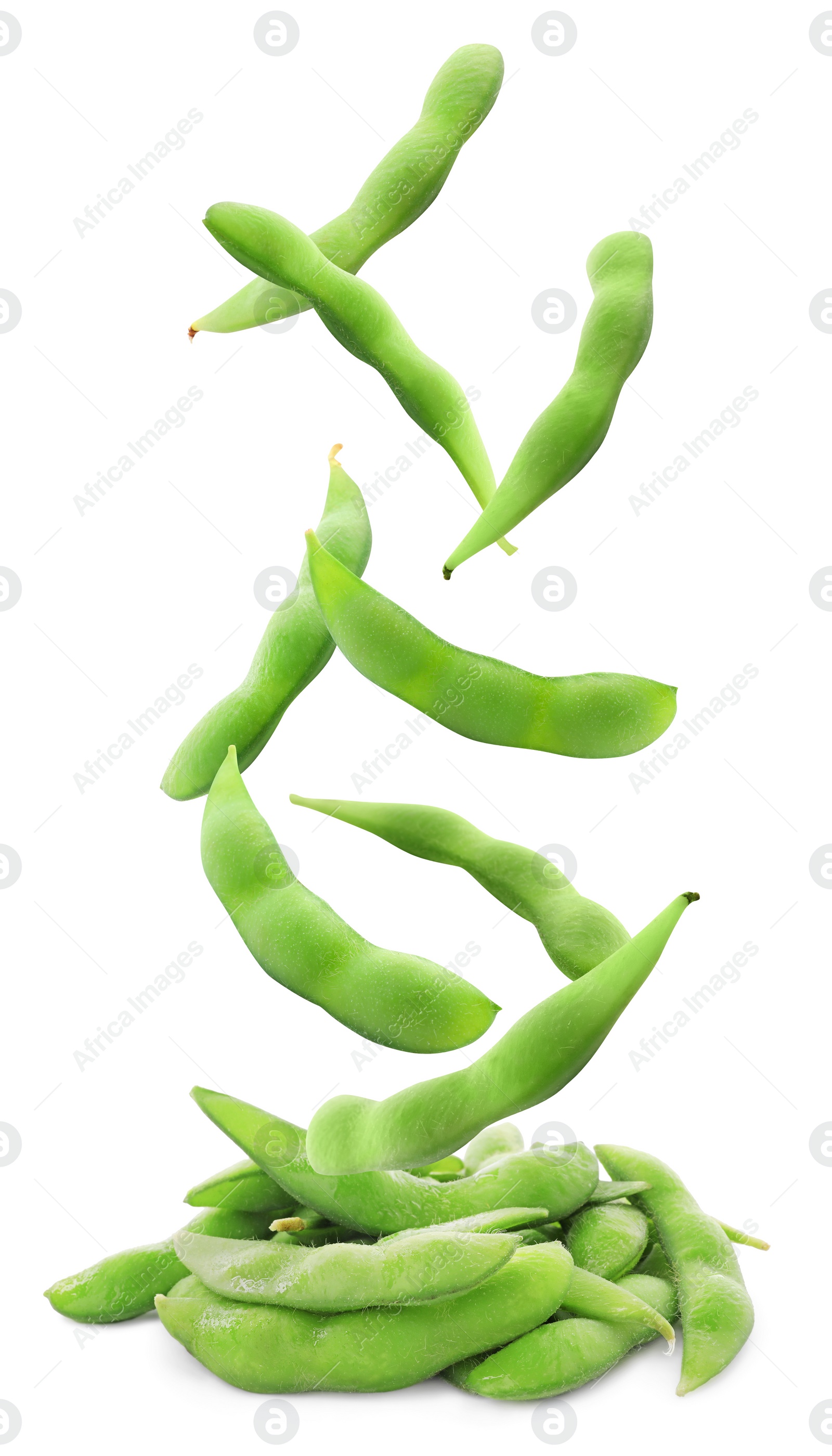 Image of Raw green edamame pods falling onto pile against white background