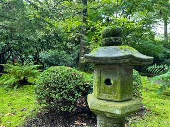 Stone lantern, bright moss and different plants in Japanese garden