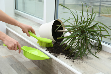 Photo of Woman cleaning window sill from soil at home, closeup