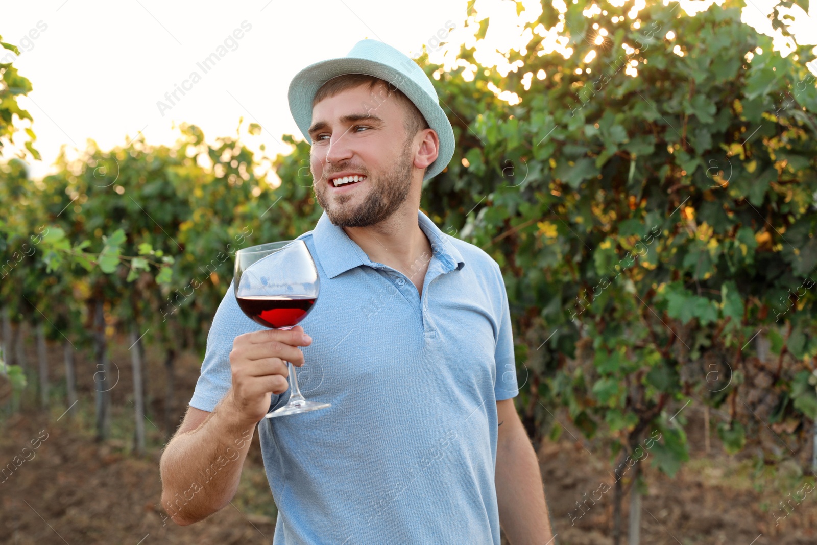 Photo of Young handsome man enjoying wine at vineyard