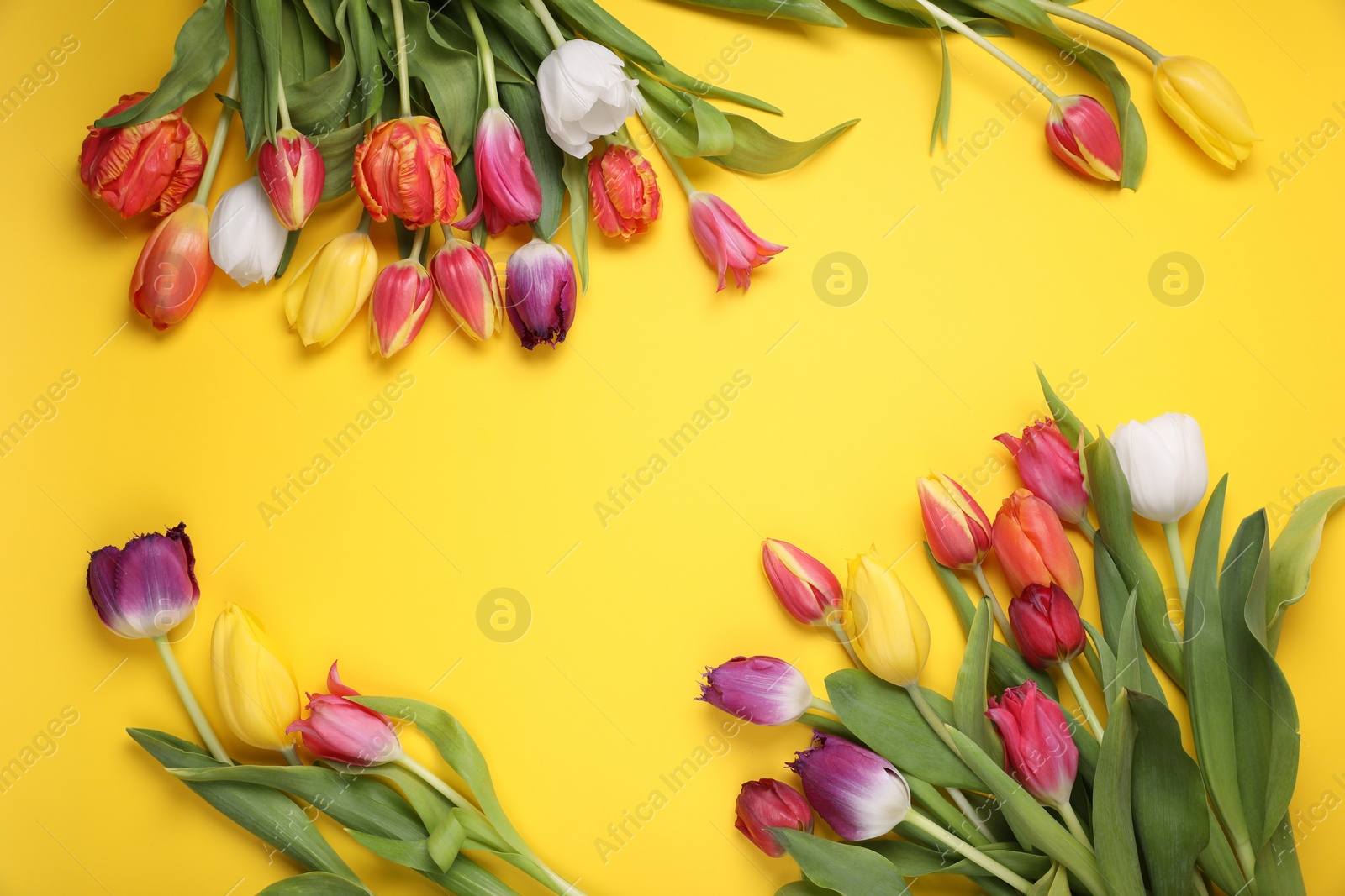 Photo of Beautiful colorful tulip flowers on yellow background, flat lay. Space for text