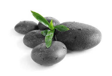 Photo of Spa stones and green leaves with water drops on white background