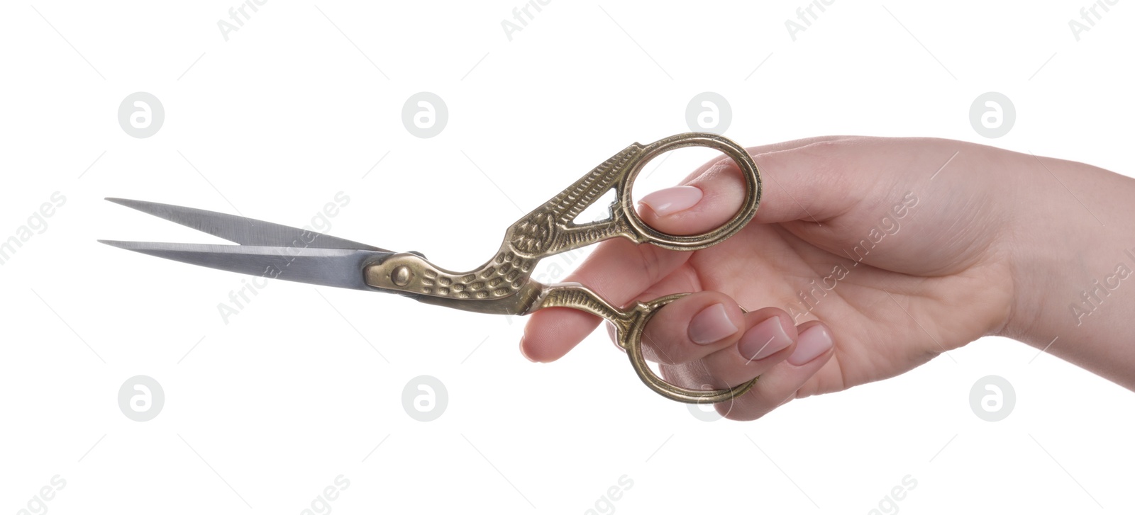 Photo of Woman holding beautiful scissors on white background, closeup