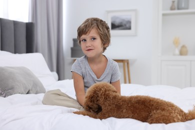 Photo of Little child and cute puppy on bed at home. Lovely pet