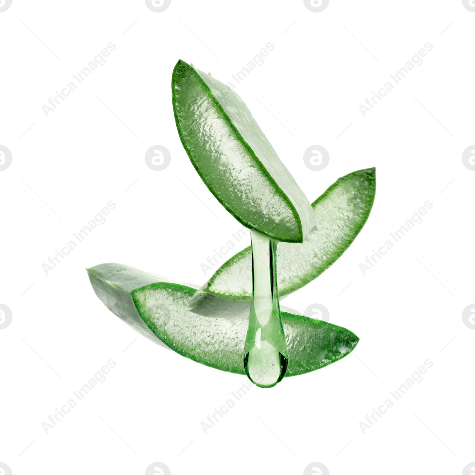 Image of Aloe vera leaf cross sections with juice in air on white background