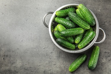 Photo of Colander with ripe fresh cucumbers on table, top view