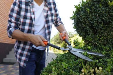 Photo of Man trimming bush on sunny day, closeup. Gardening time