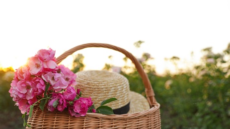 Photo of Wicker basket with straw hat and roses outdoors. Gardening