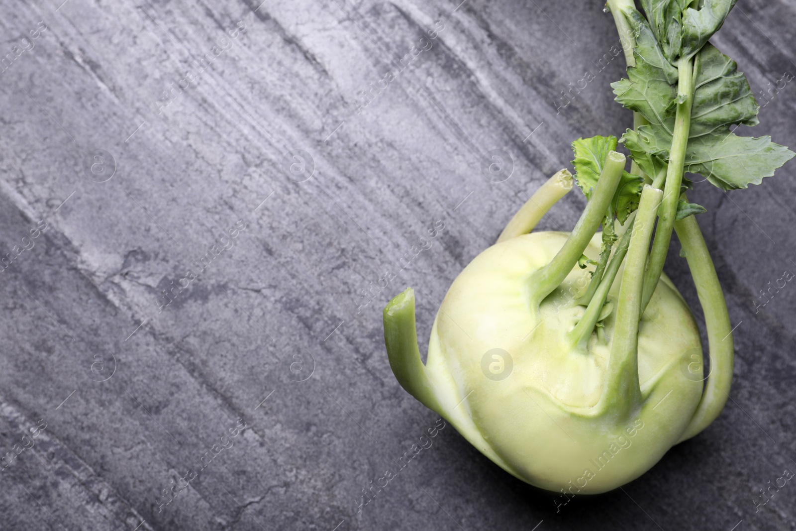 Photo of Whole ripe kohlrabi plant on grey table, top view. Space for text