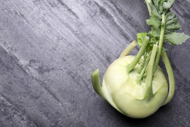 Photo of Whole ripe kohlrabi plant on grey table, top view. Space for text