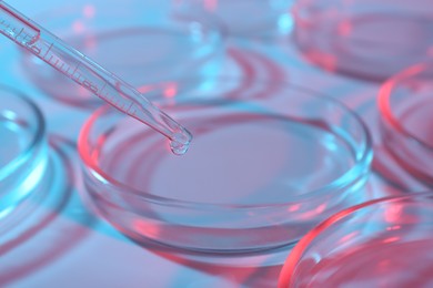 Dripping liquid from pipette into petri dish on light blue background, closeup