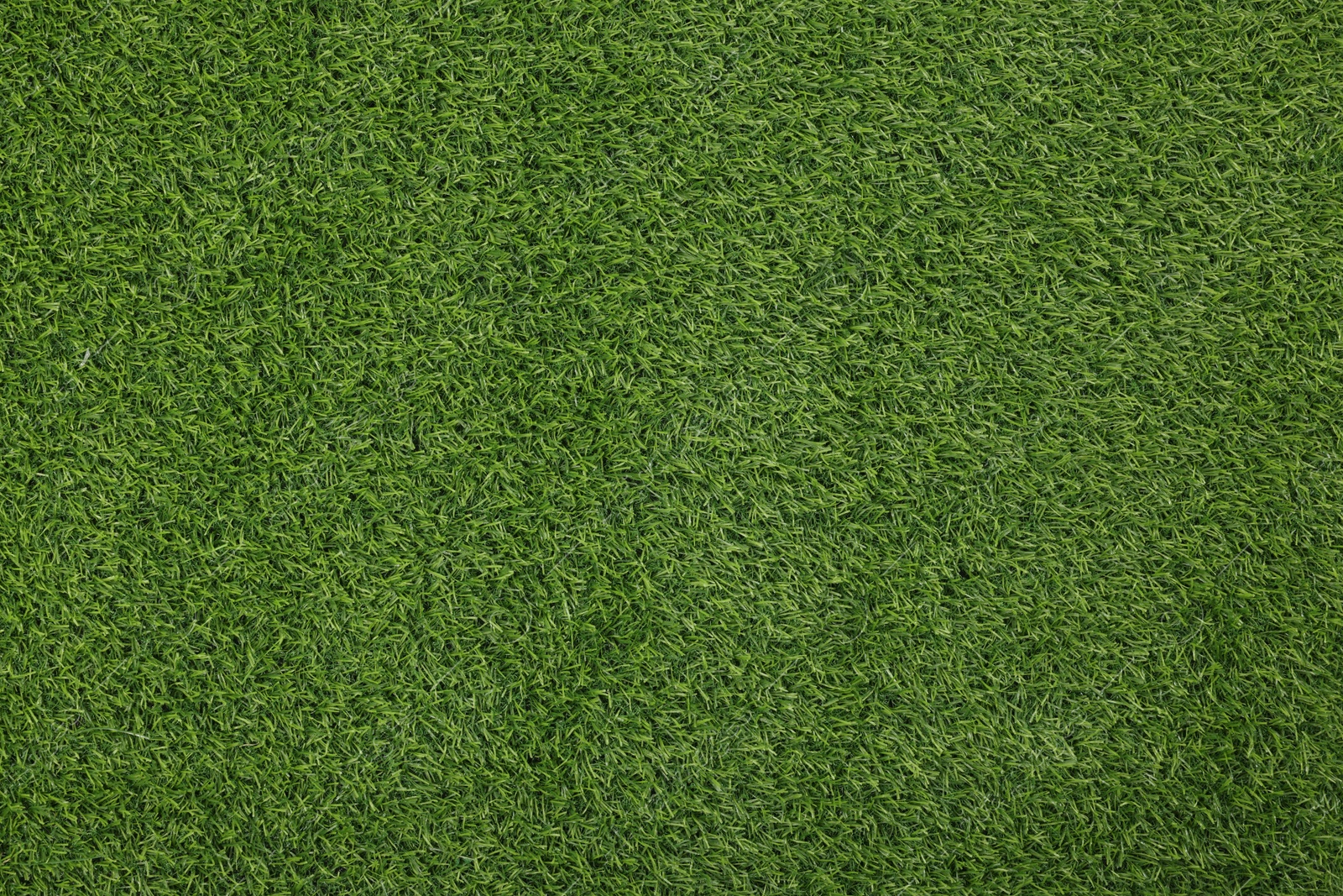 Photo of Green artificial grass as background, top view