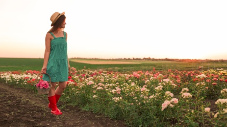 Woman with basket of roses in beautiful blooming field