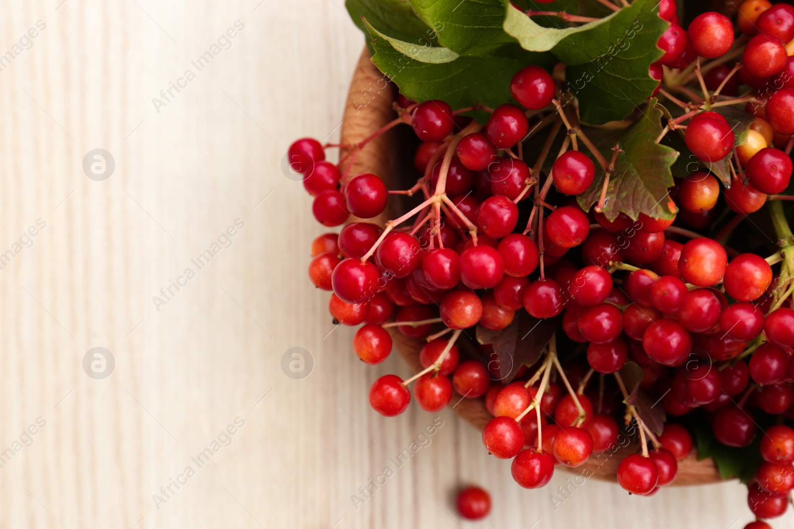 Photo of Bowl with tasty viburnum berries on white wooden table, flat lay. Space for text