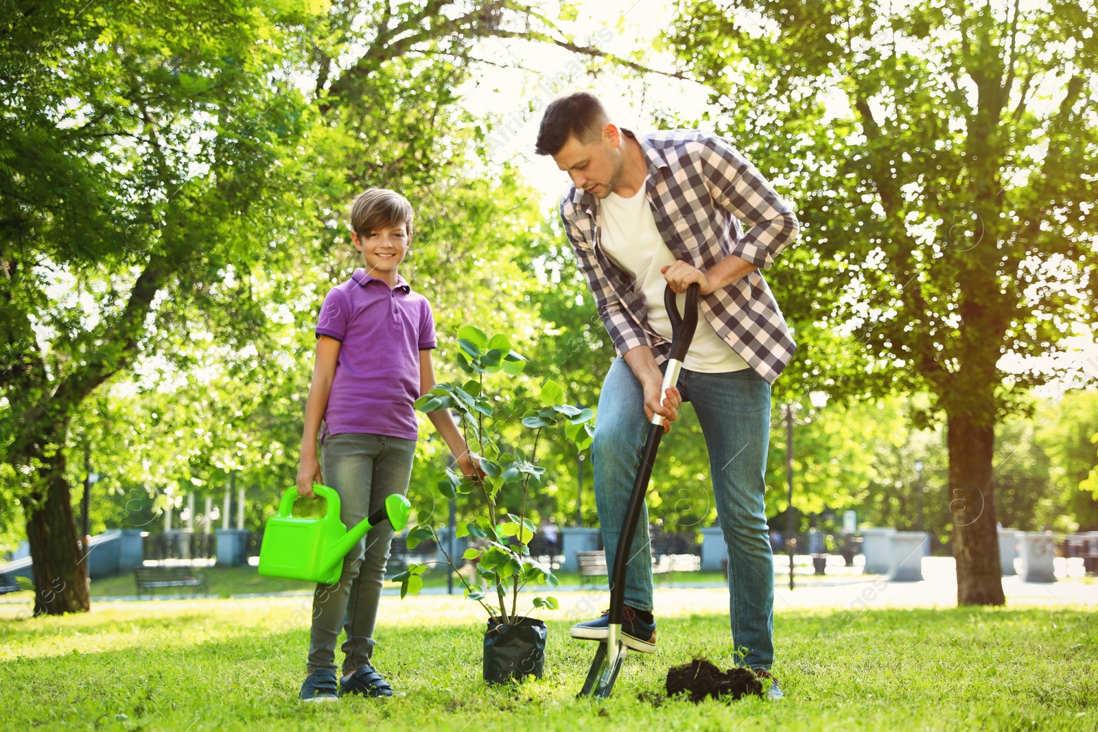 Photo of Dad and son planting tree together in park on sunny day