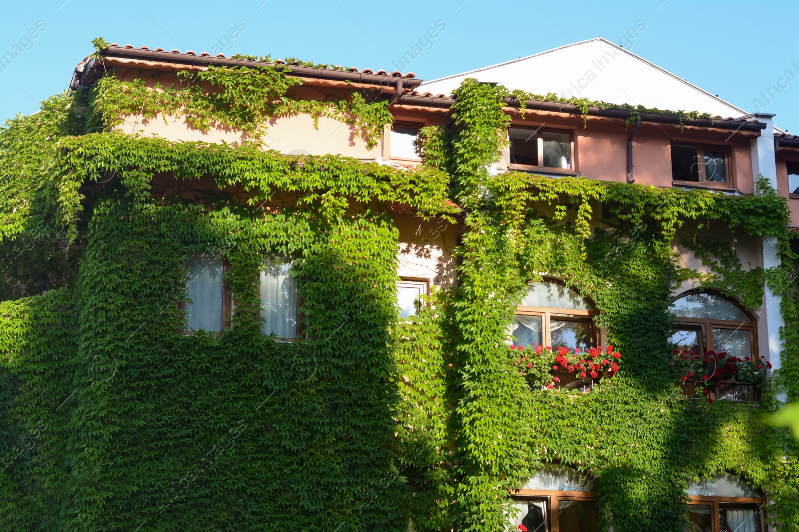 Photo of Exterior of beautiful residential building overgrown with green plants