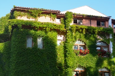 Photo of Exterior of beautiful residential building overgrown with green plants