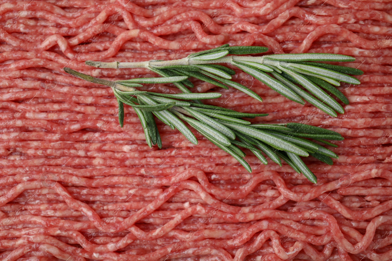 Photo of Fresh raw ground meat and rosemary, top view