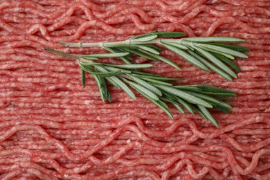 Photo of Fresh raw ground meat and rosemary, top view
