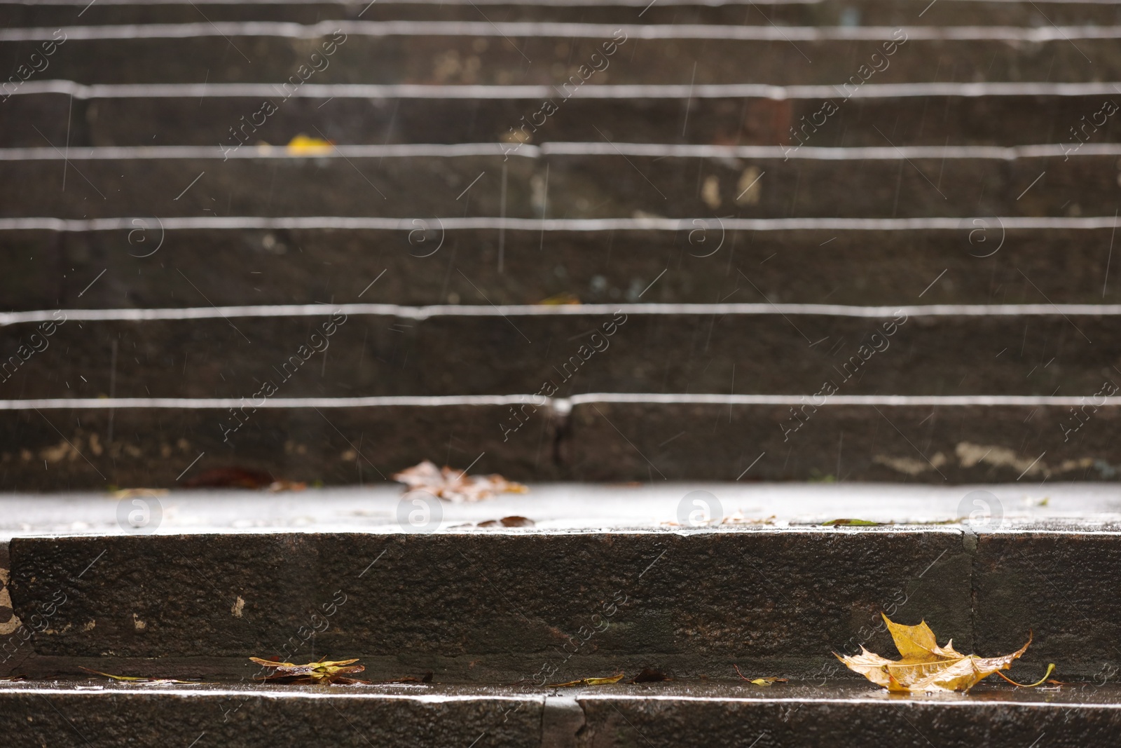 Photo of Rainy weather. Beautiful view of autumn dry leaves on stairs outdoors