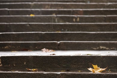 Photo of Rainy weather. Beautiful view of autumn dry leaves on stairs outdoors