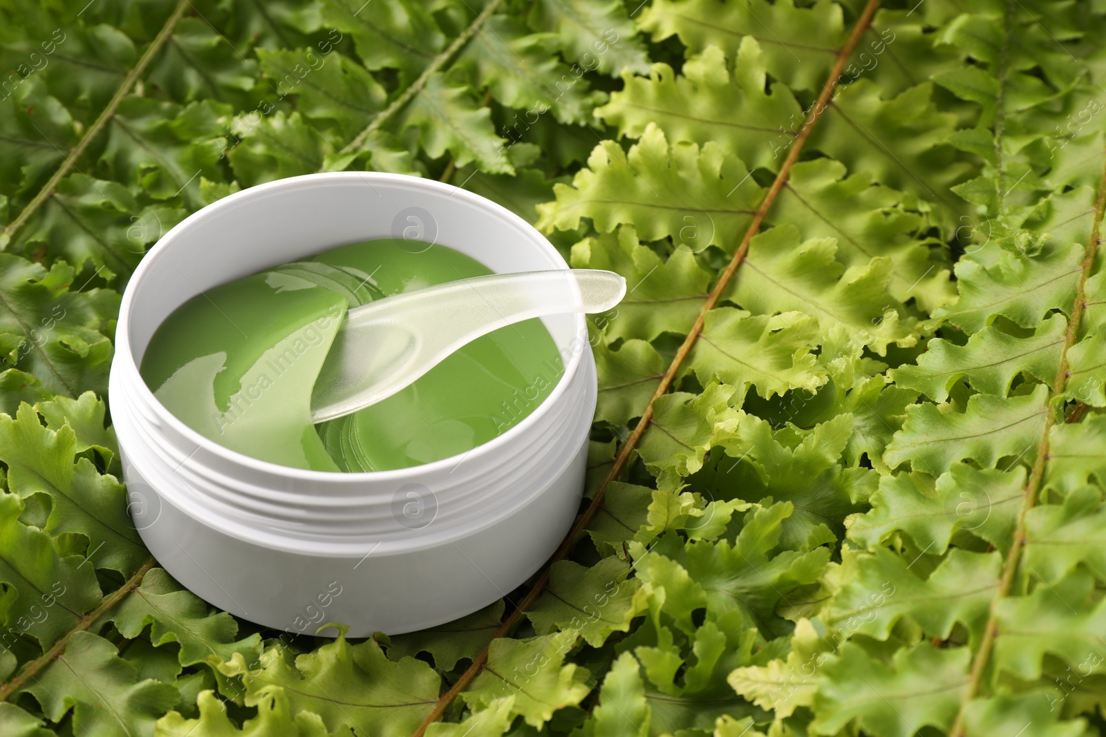 Photo of Jar of under eye patches with spoon on green fern leaves, space for text. Cosmetic product