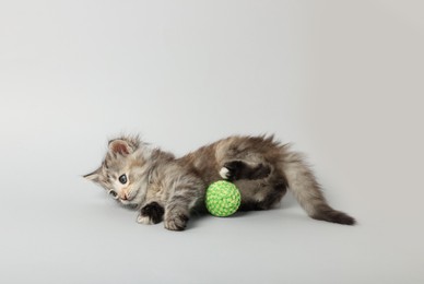 Photo of Cute kitten playing with ball on light grey background. Space for text
