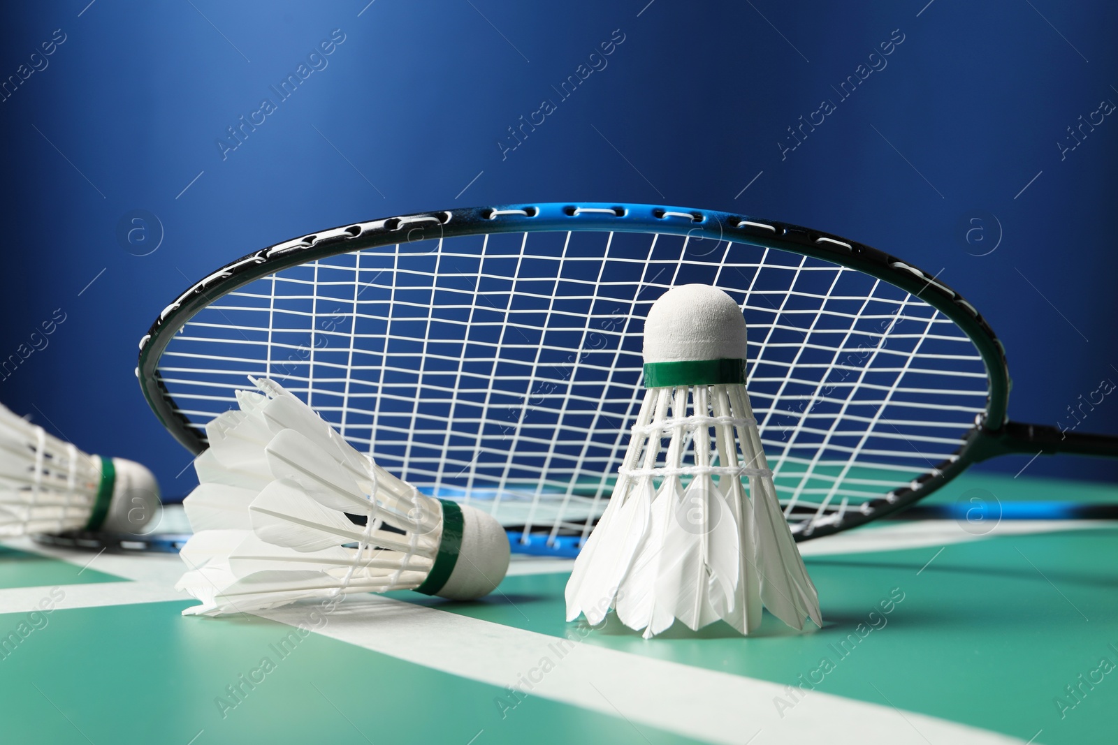 Photo of Feather badminton shuttlecocks and racket on green table against blue background, closeup
