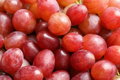 Fresh ripe juicy pink grapes as background, closeup view