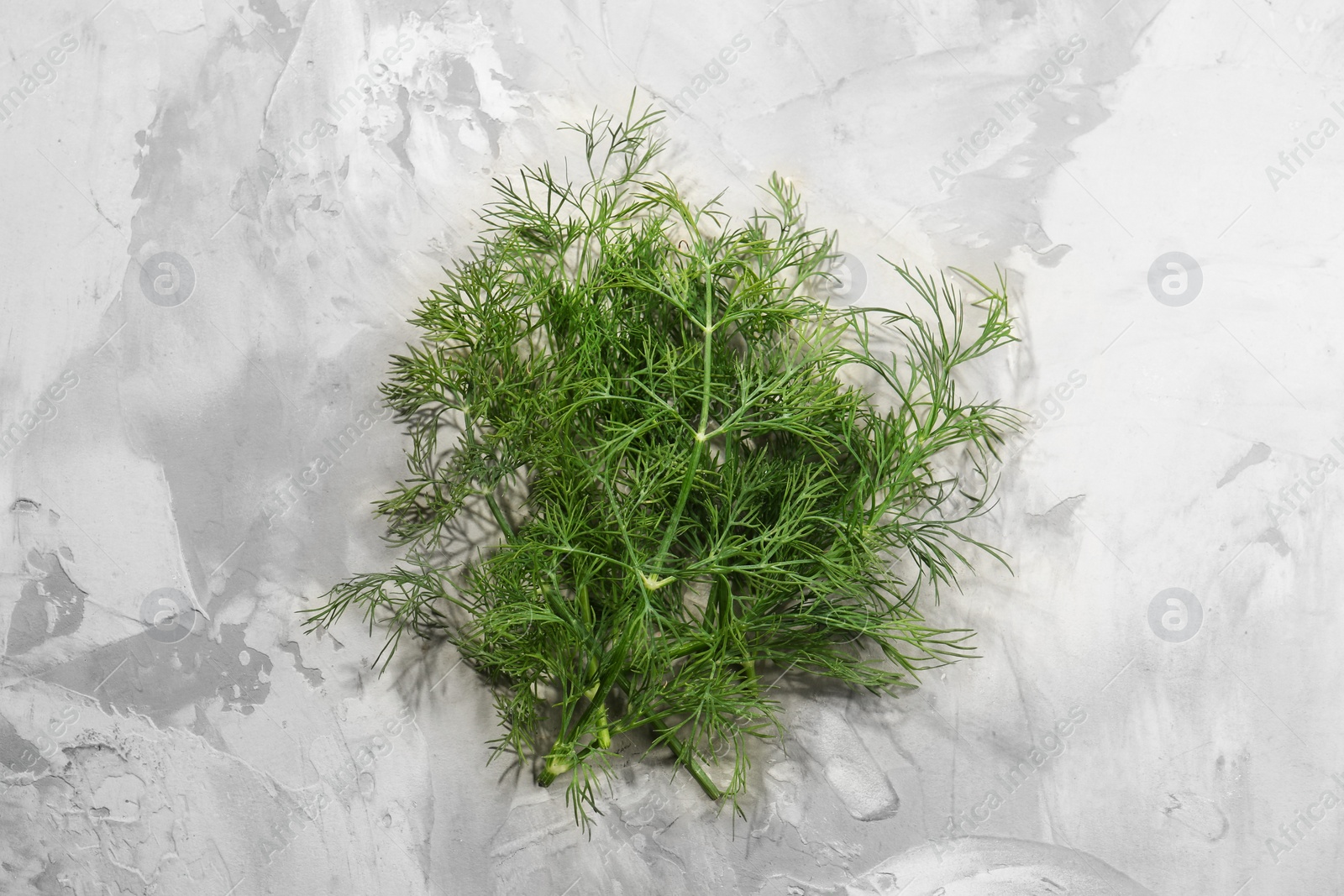 Photo of Fresh green dill on light grey table, top view