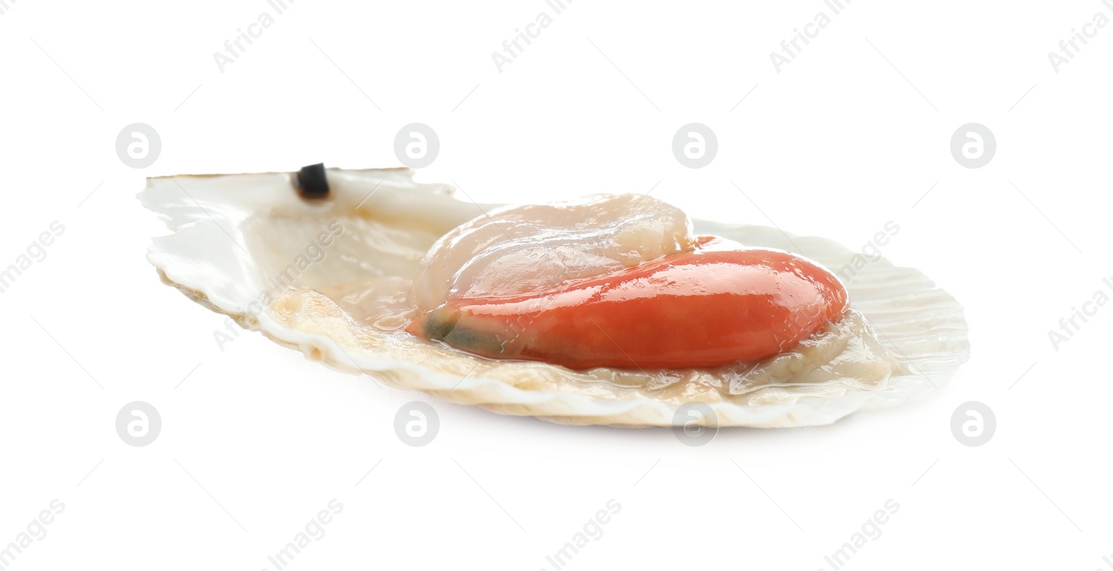 Photo of Fresh raw scallop in shell isolated on white