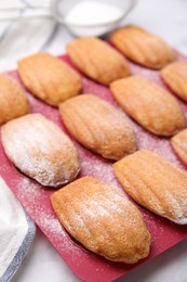 Photo of Delicious madeleine cookies in baking mold on white table, closeup