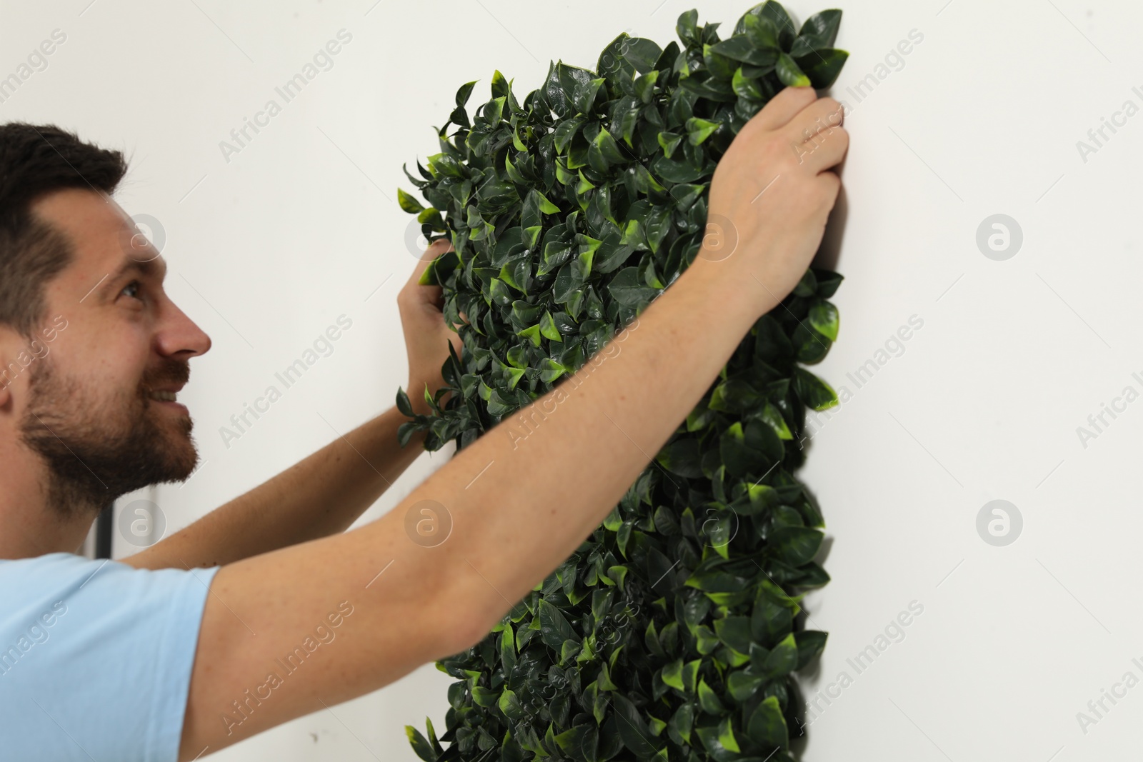 Photo of Man installing green artificial plant panel on white wall in room