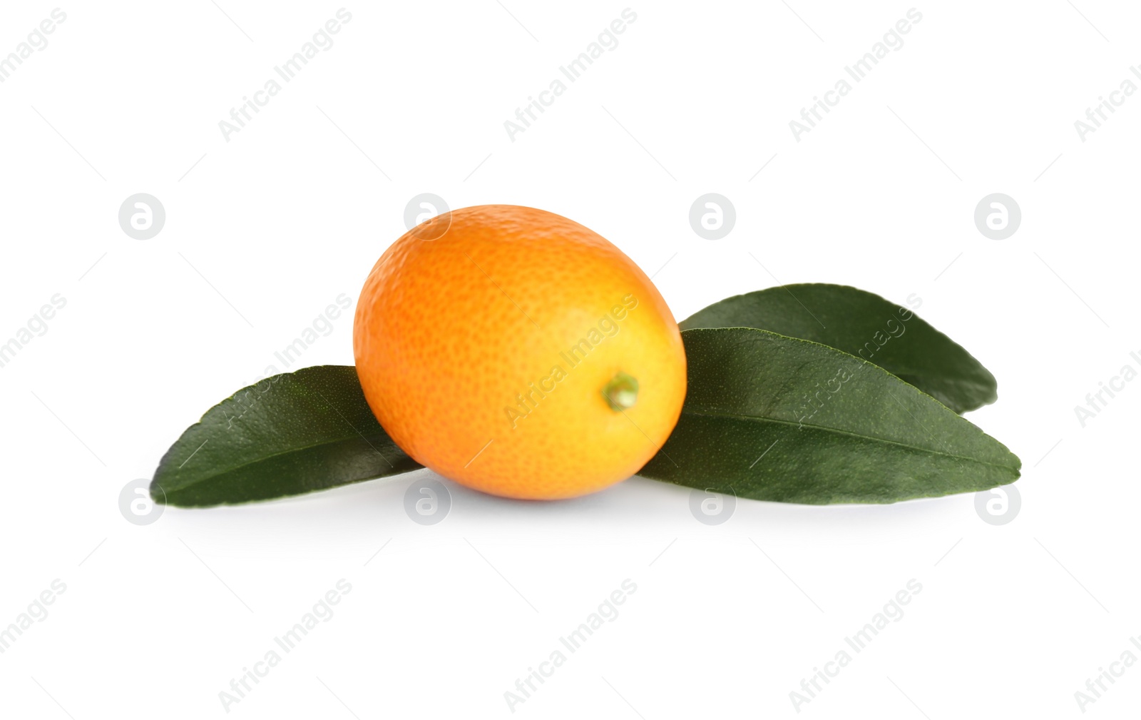 Photo of Fresh ripe kumquat with leaves isolated on white. Exotic fruit