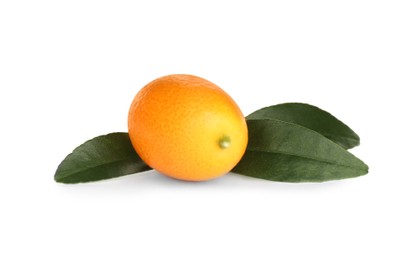 Photo of Fresh ripe kumquat with leaves isolated on white. Exotic fruit