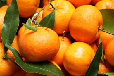 Photo of Fresh ripe tangerines with leaves as background, closeup. Citrus fruit