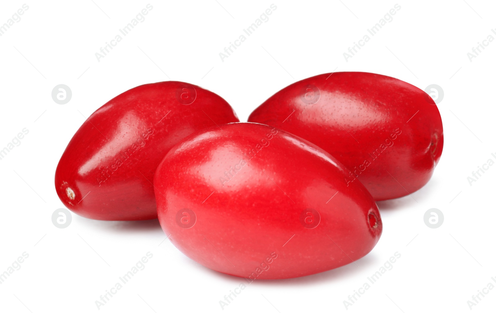 Photo of Fresh ripe dogwood berries on white background