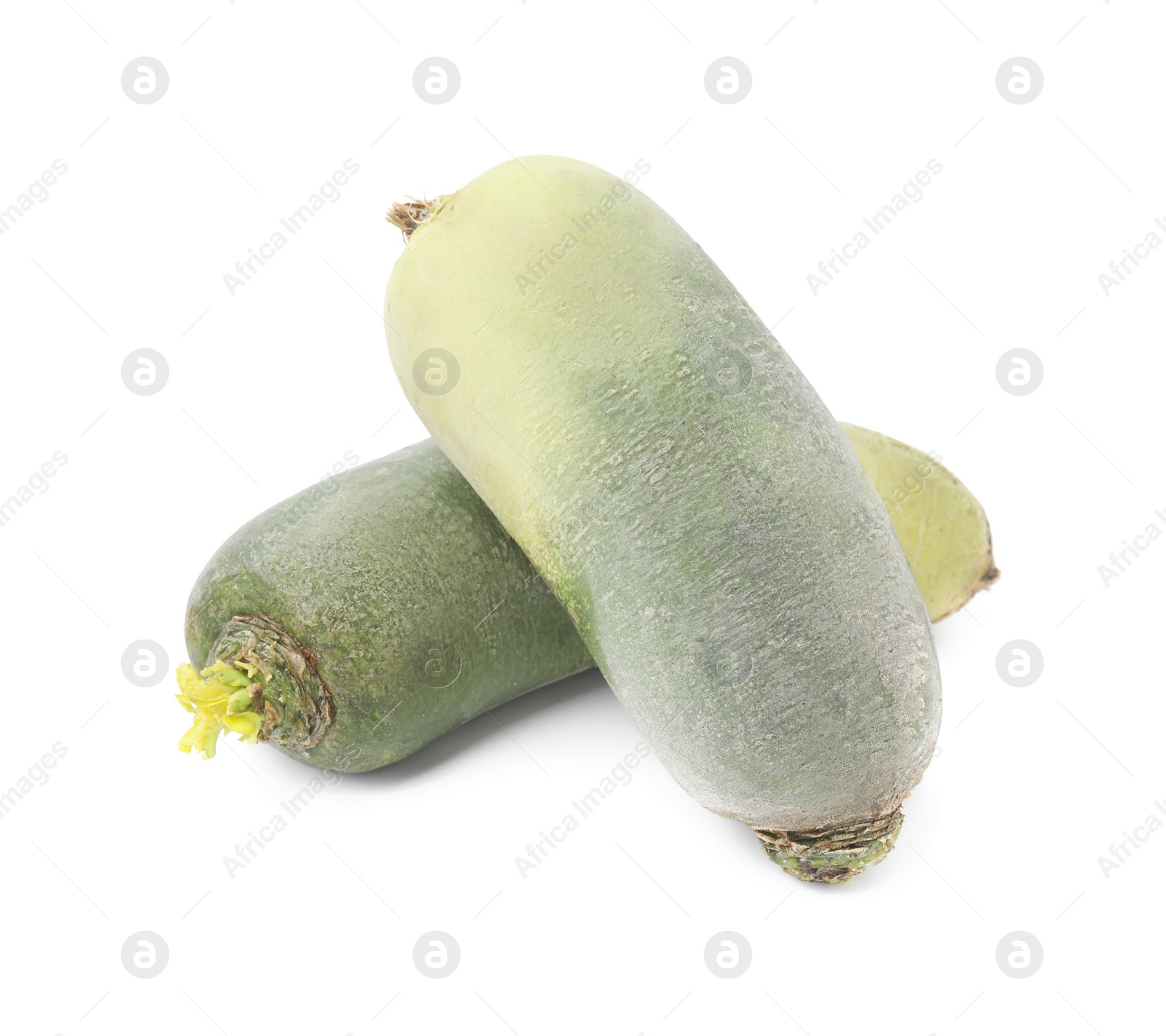 Photo of Ripe green daikon radishes isolated on white